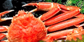 img58017.gif